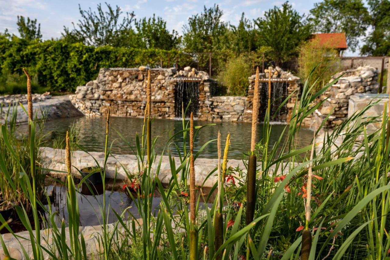 Country Spa Retreat Sznagov Kültér fotó The River at the Living Prairie